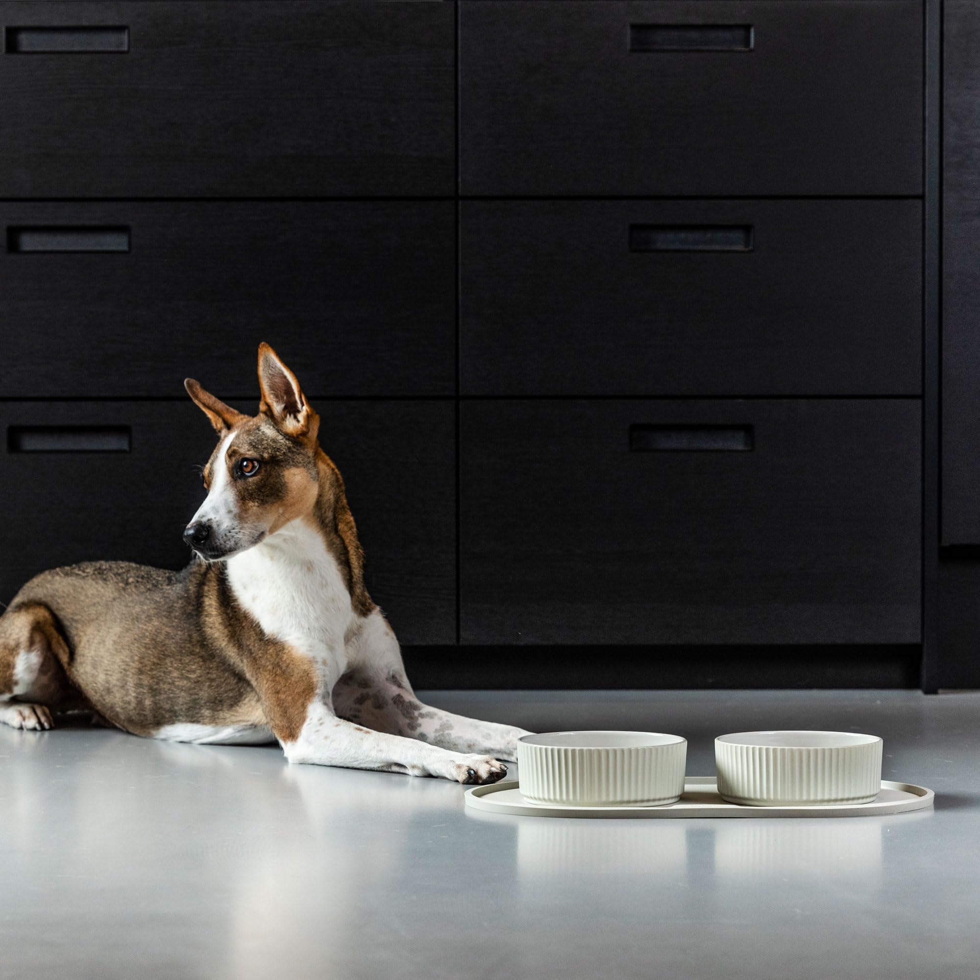 dog-copenhagen-kronborg-hundenapf-keramik-m-mint-green image 6