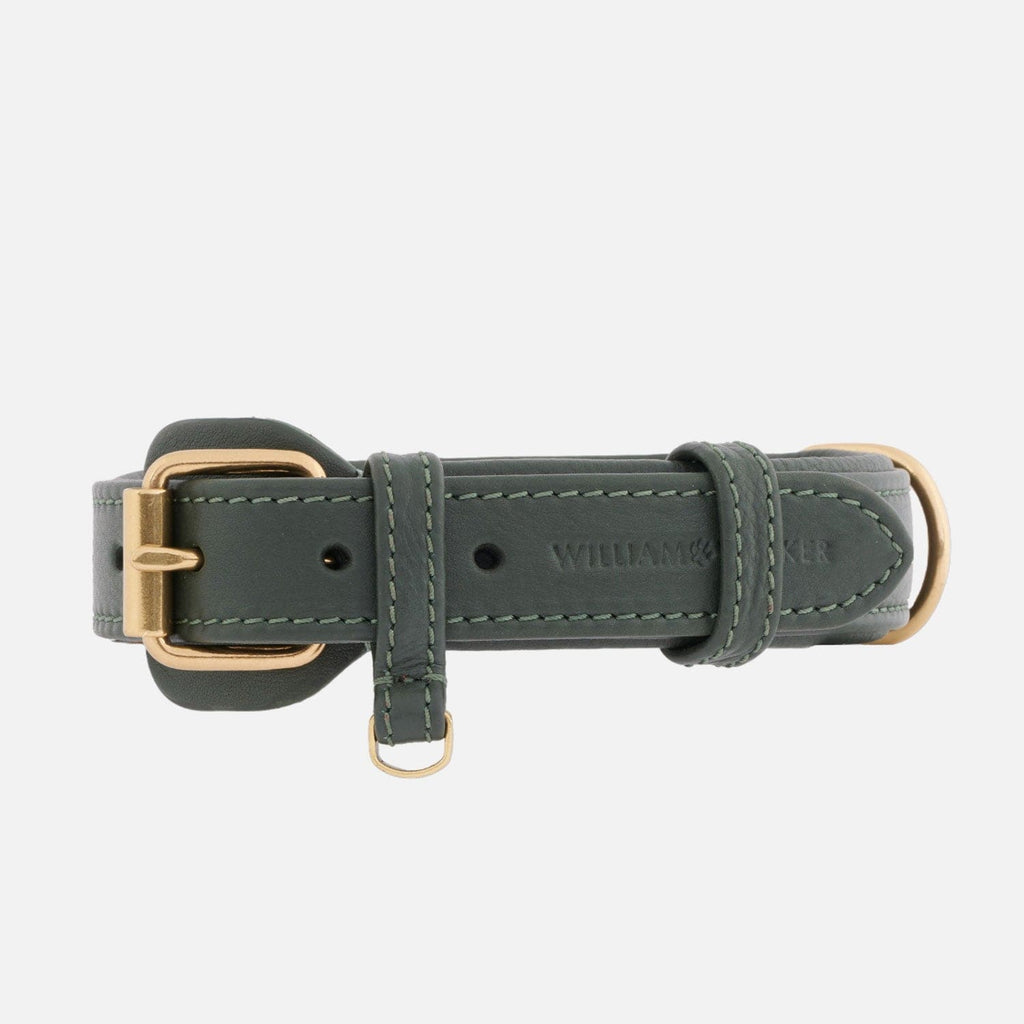 william-walker-leder-hundehalsband-dark-moss-dunkelgr-n image 1