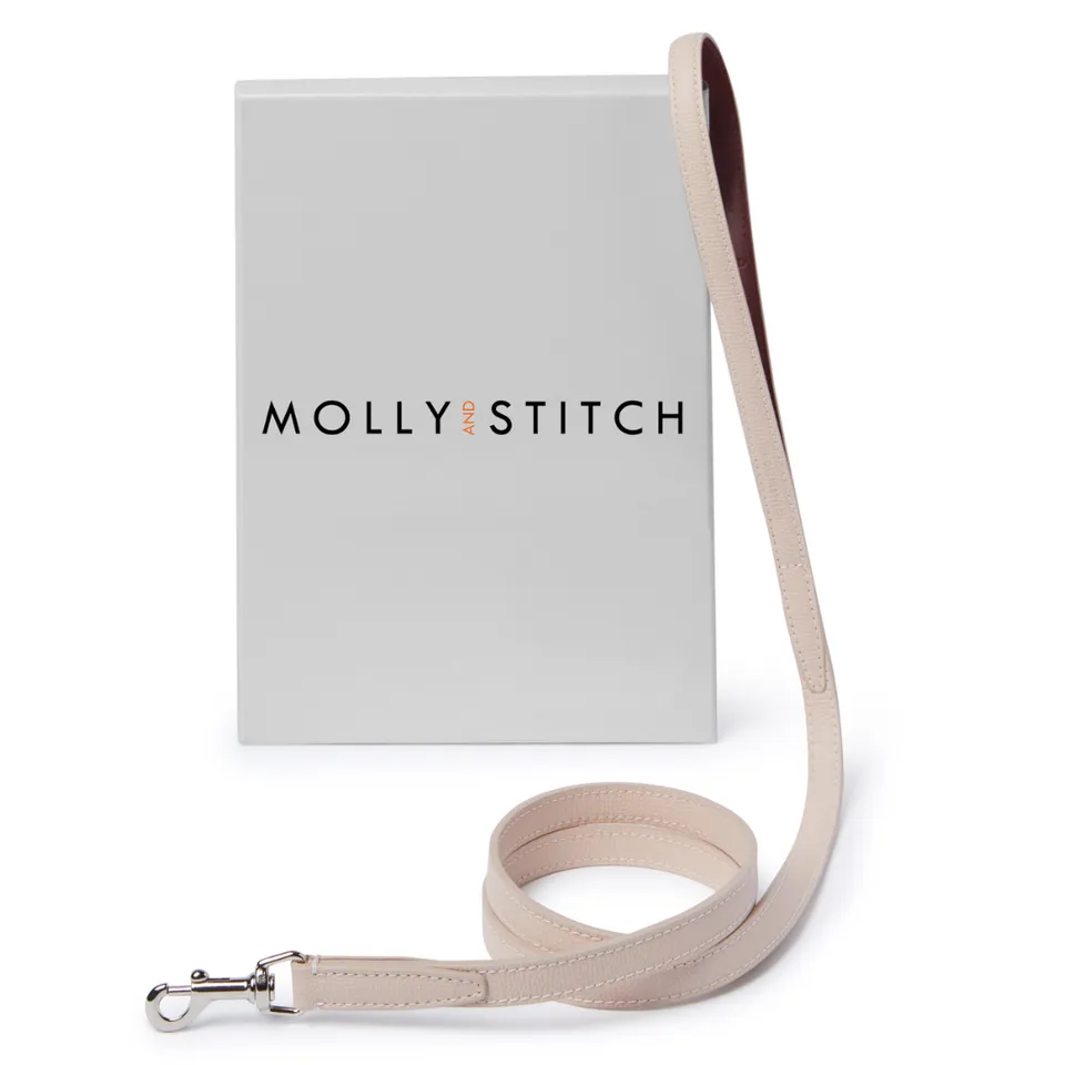 molly-and-stitch-tuscan-city-hundeleine-1-4-m-rose image 1