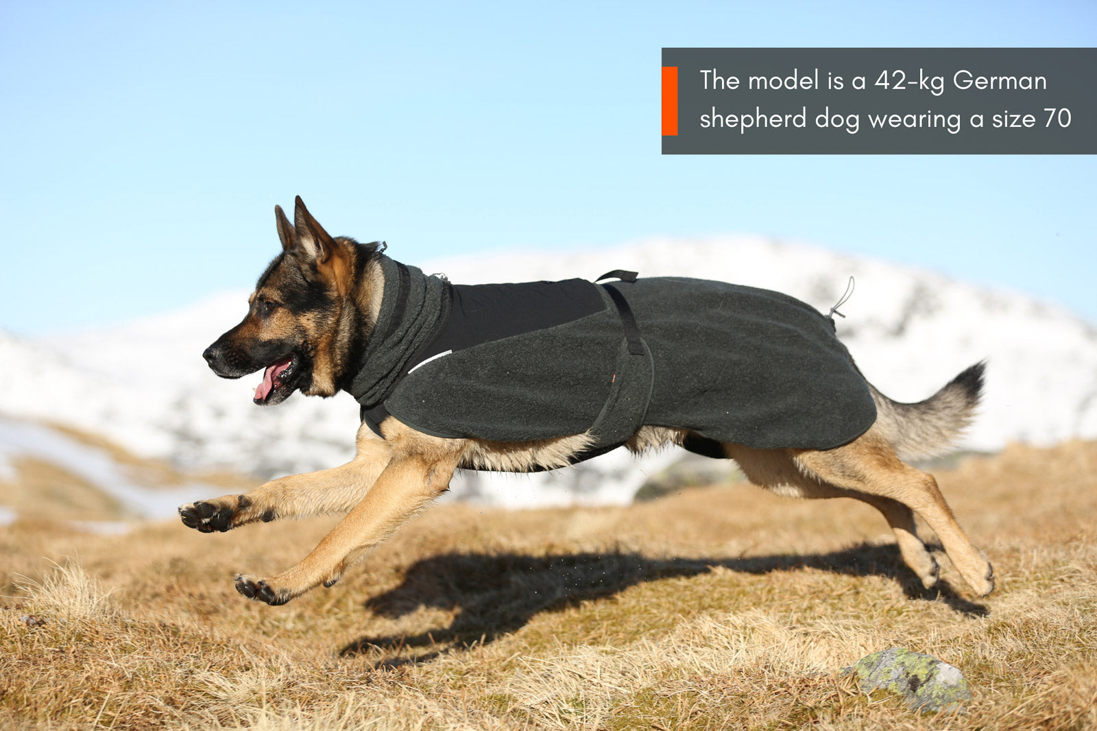 non-stop-dogwear-wool-dog-jacket-hundemantel-merinowolle-glacier-series image 4