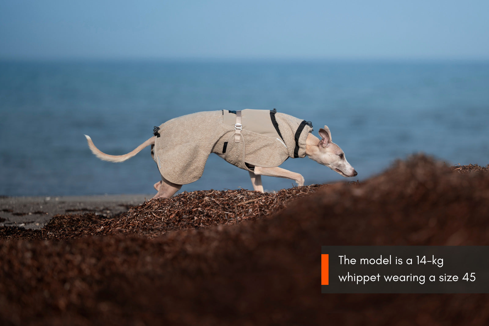 non-stop-dogwear-wool-dog-jacket-hundemantel-merinowolle-glacier-series image 5
