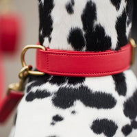 william-walker-leder-hundehalsband-chili-rot image 8