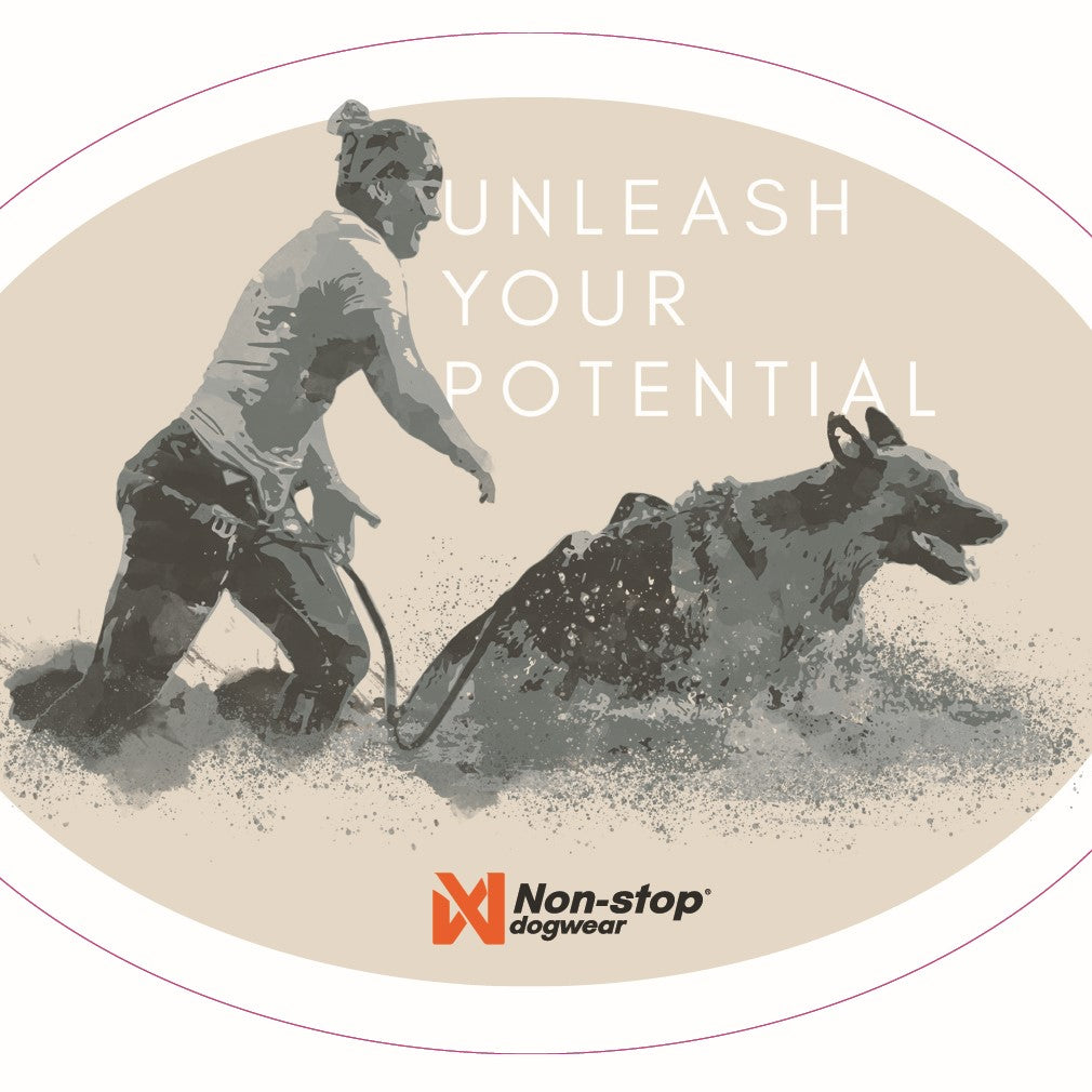 non-stop-dogwear-stickers-aufkleber-set image 6