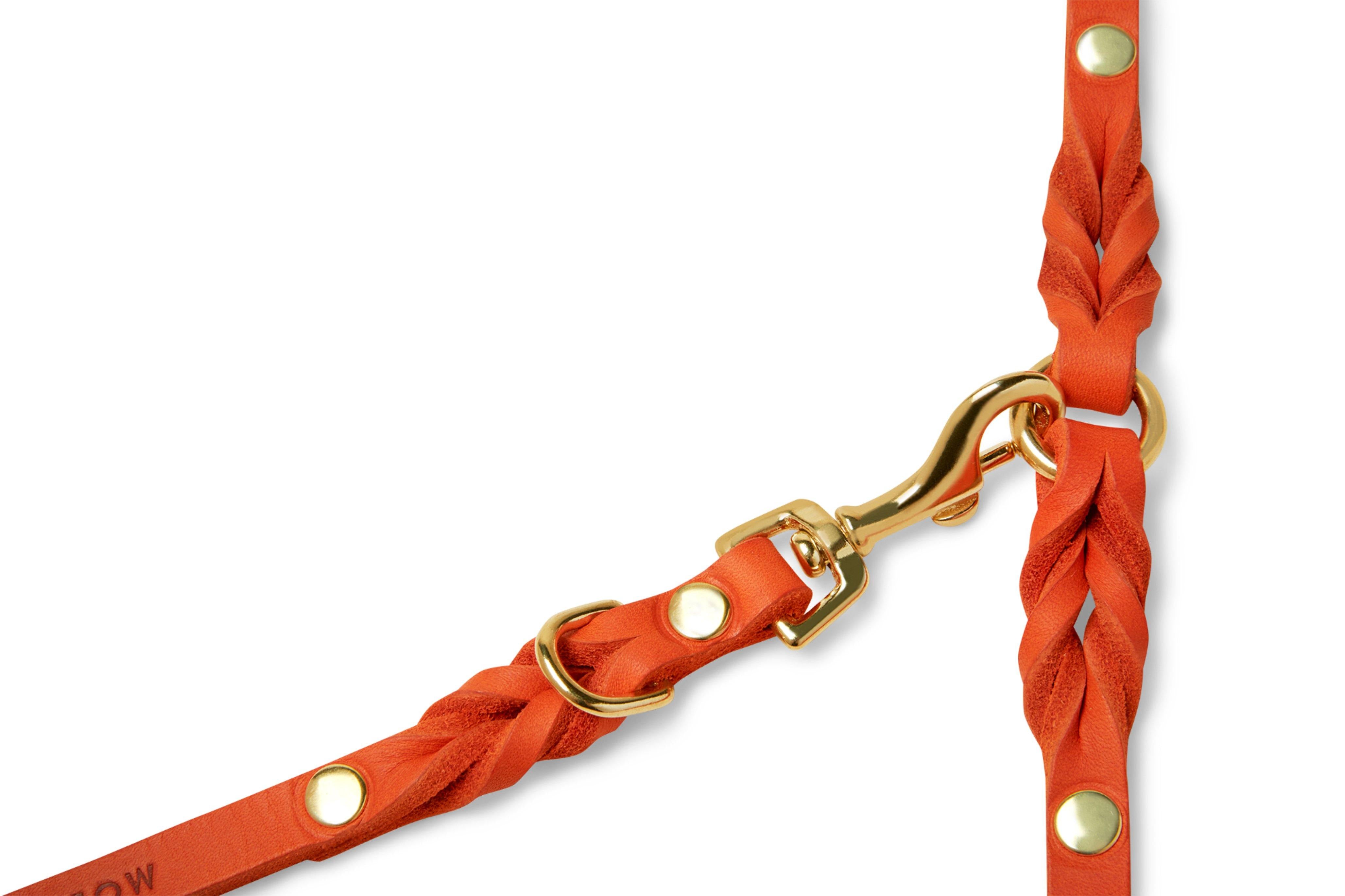 molly-and-stitch-butter-leather-hundeleine-mango-3x-verstellbar-200-cm image 4
