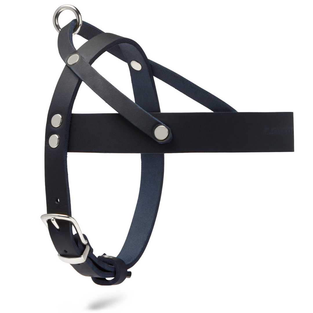 molly-and-stitch-butter-leather-hundegeschirr-navy-blue image 4