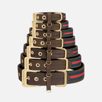 william-walker-florence-leder-hundehalsband-limited-crazy-horse-leather-braun image 4