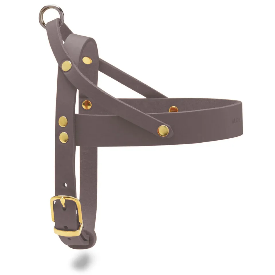 molly-and-stitch-butter-leather-hundegeschirr-taupe-mango-harness image 1