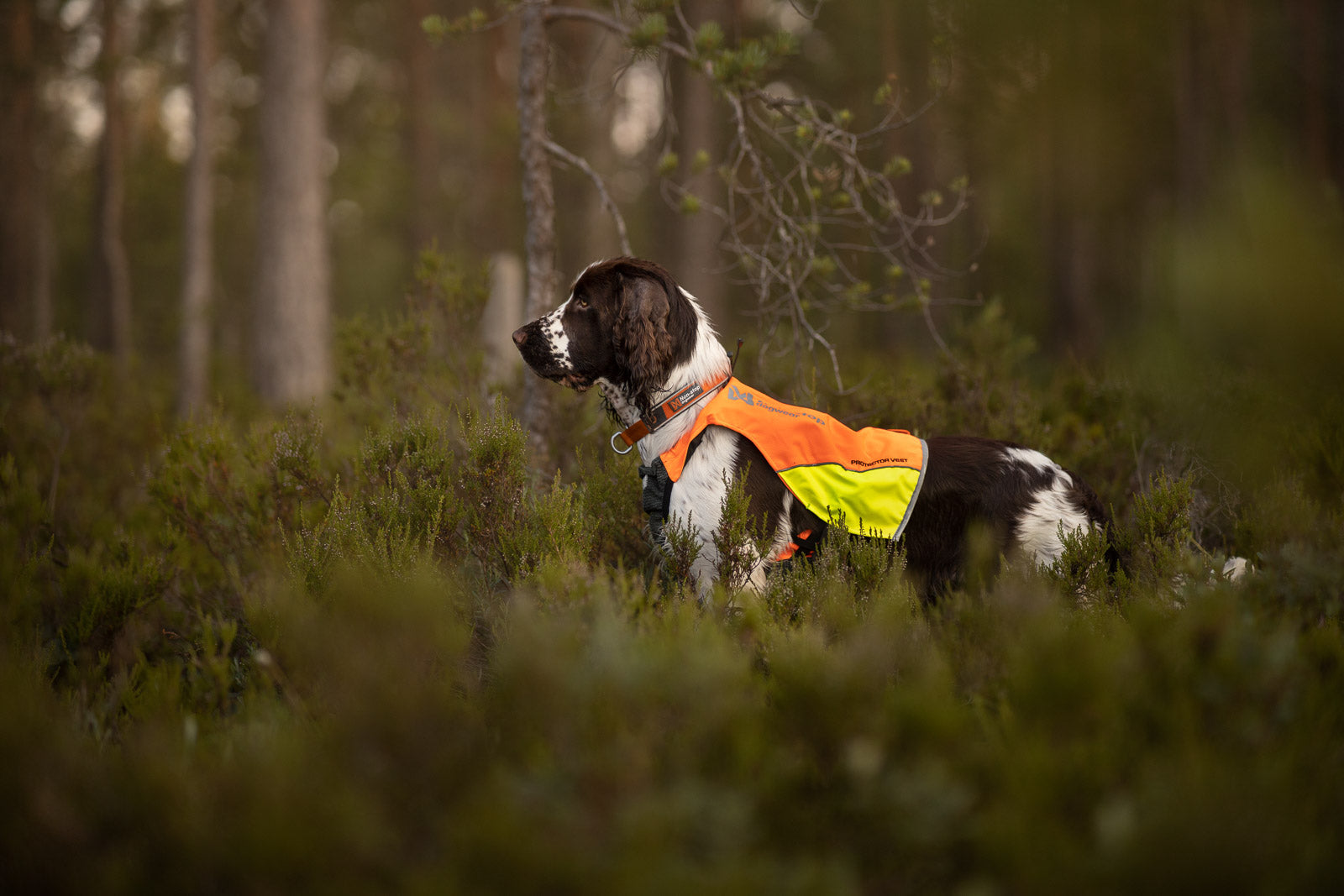 non-stop-dogwear-protector-vest-robuste-jagdweste-mit-ripstop-und-aramidverst-rk image 5
