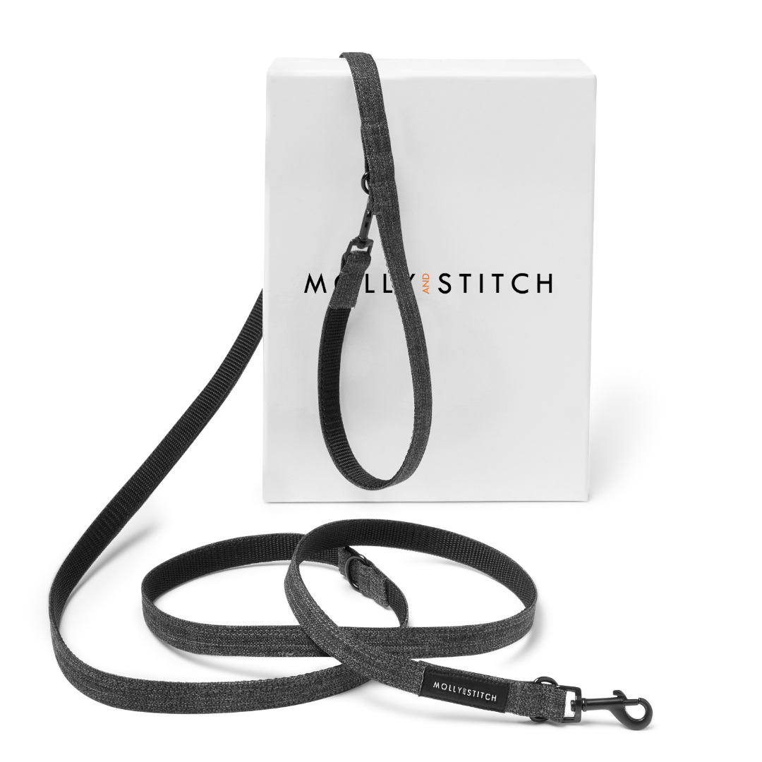 molly-and-stitch-soft-rock-verstellbare-leine-grau image 1