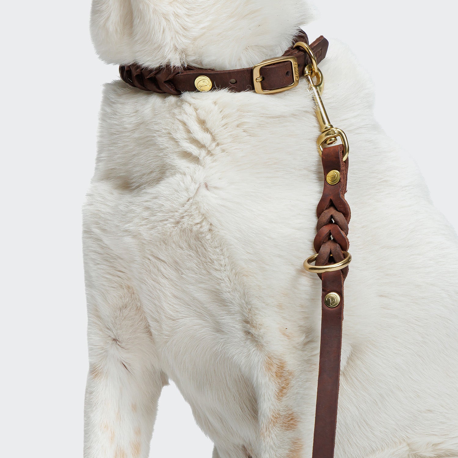 cloud7-riverside-park-hundeleine-saddle-brown-gold-fettleder-2-25-m image 3