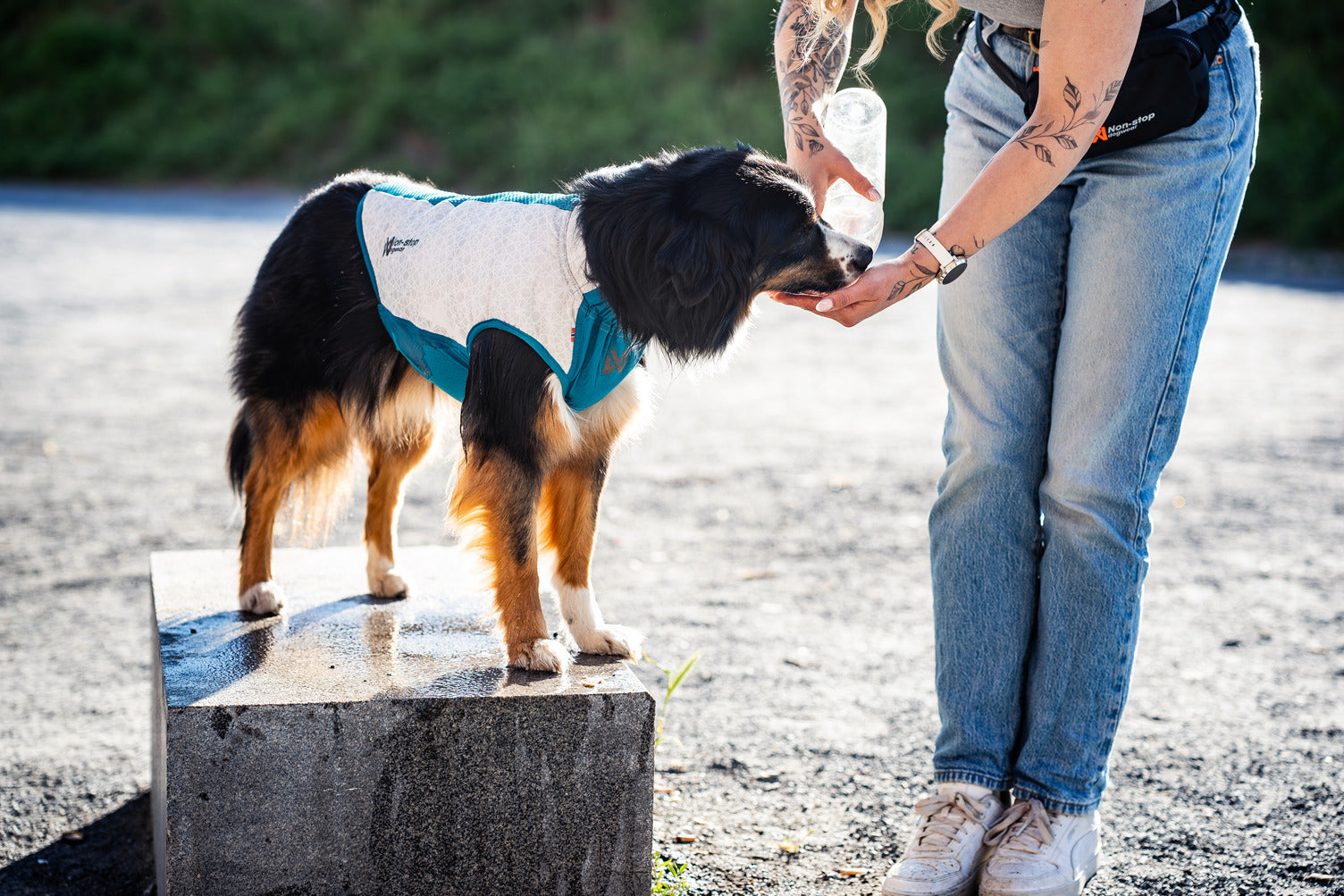 non-stop-dogwear-cooling-pull-on-weste-hund-k-hlweste image 4