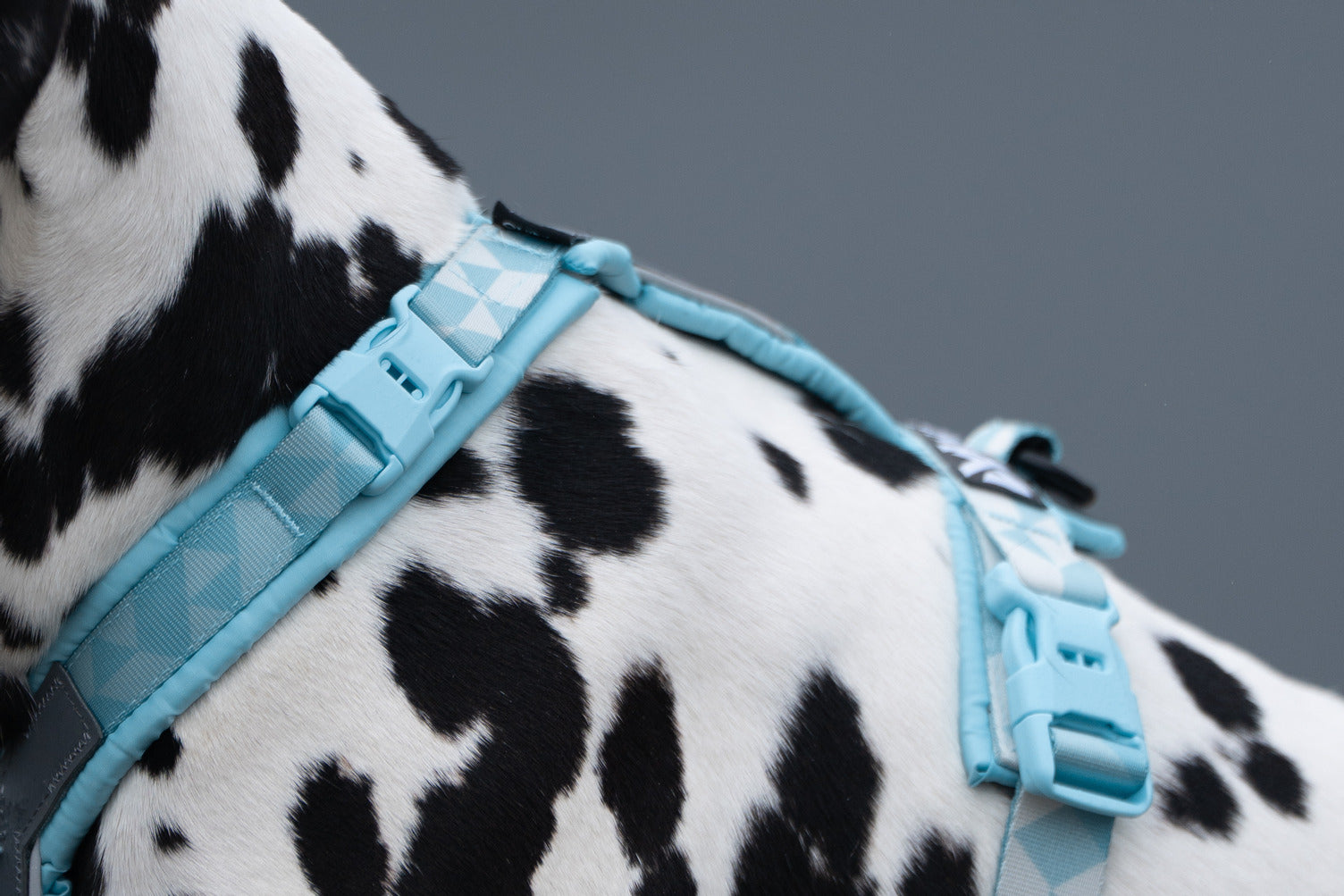 non-stop-dogwear-trekking-line-harness-clip-n-y-geschirr-ohne-ber-kopf-anziehen image 6