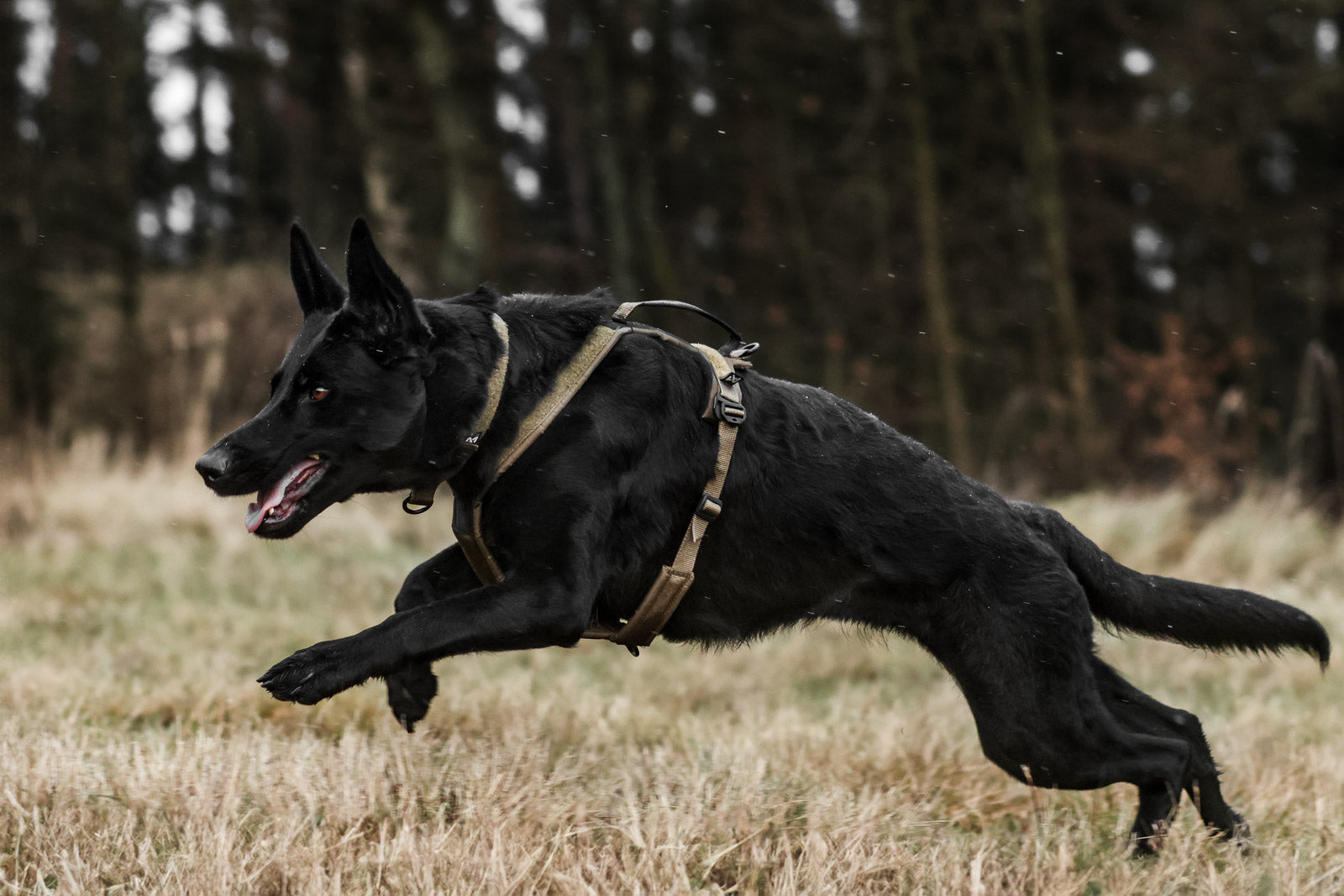 non-stop-dogwear-line-harness-grip-wd-f-hrgeschirr-mit-griff image 5