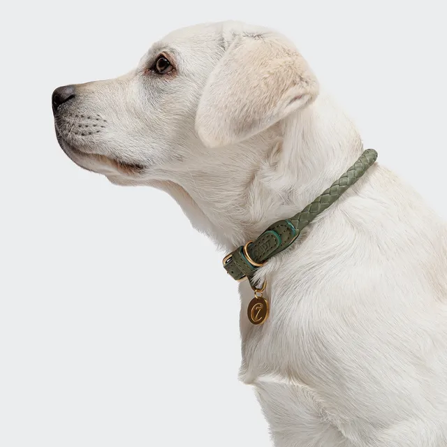 cloud7-ravello-moss-hundehalsband-nubuk-geflochten image 1