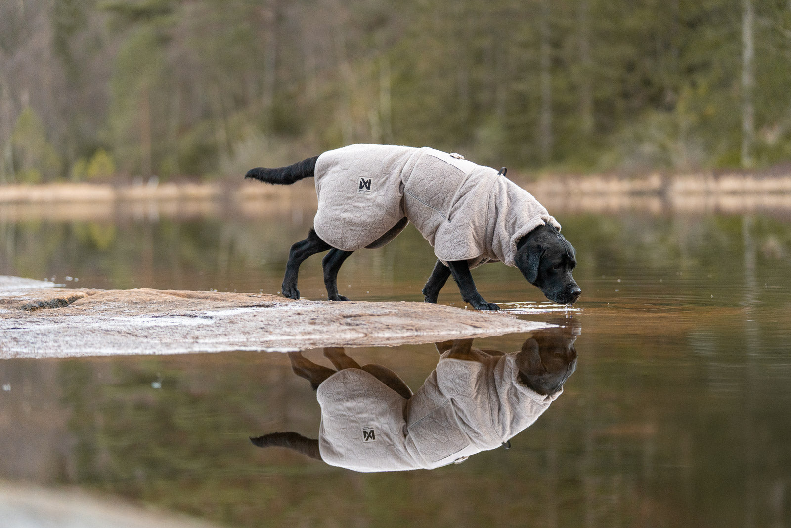 non-stop-dogwear-drying-coat-trockenmantel-hund image 6