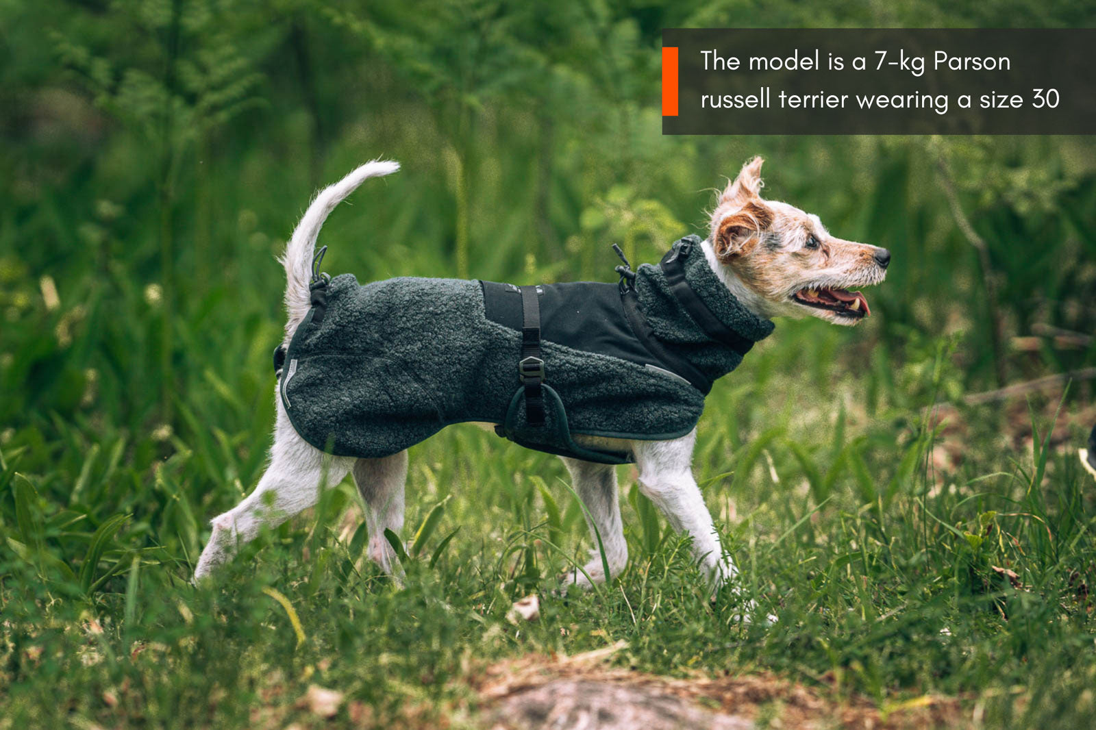 non-stop-dogwear-wool-dog-jacket-hundemantel-merinowolle-glacier-series image 3