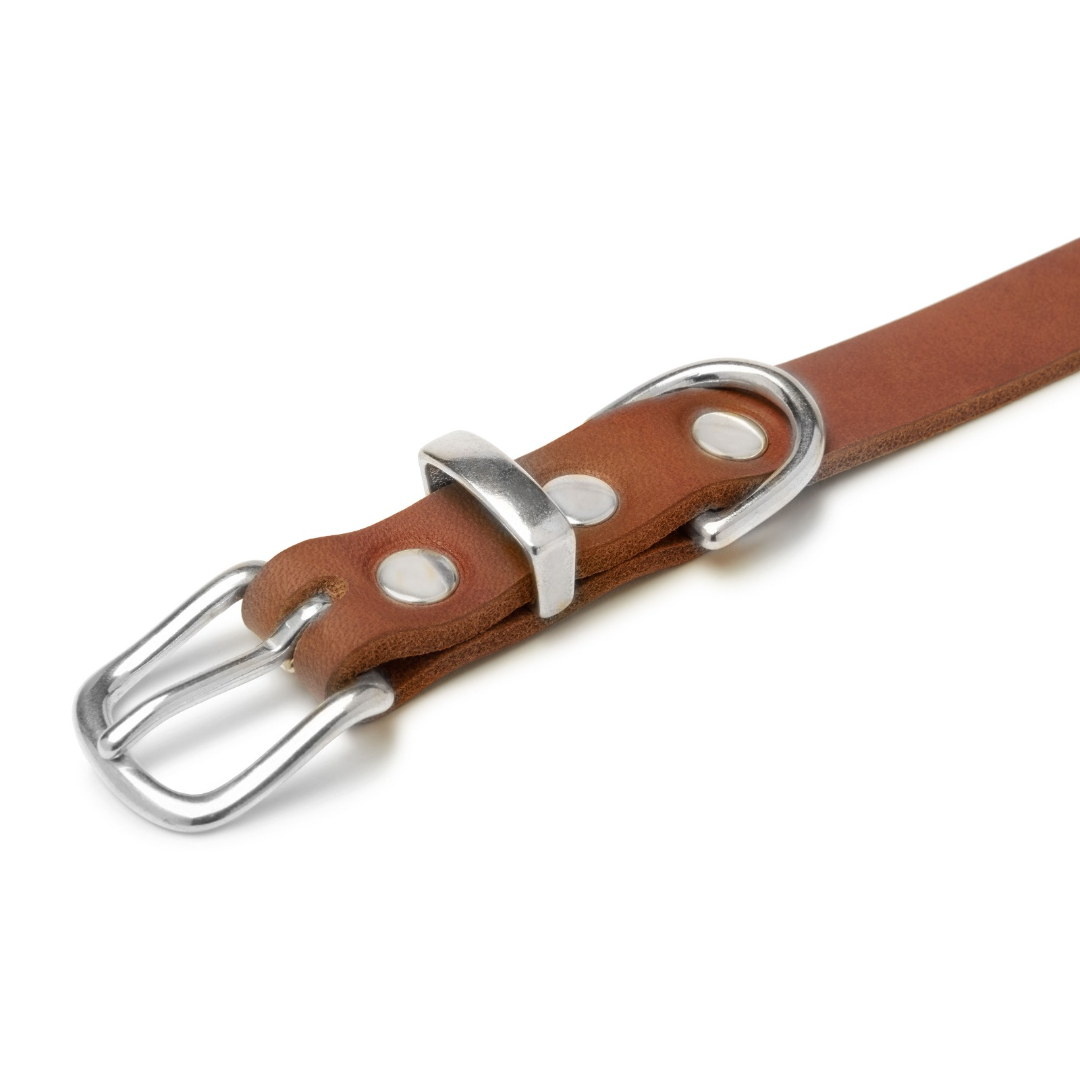 molly-and-stitch-butter-leather-hundehalsband-sahara-cognac image 4