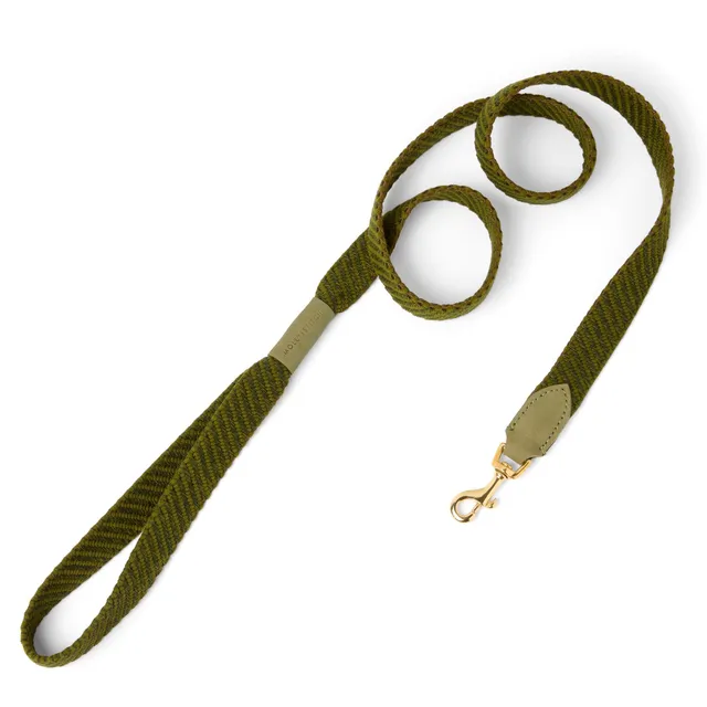 molly-and-stitch-serrana-city-hundeleine-140-cm-moss image 1