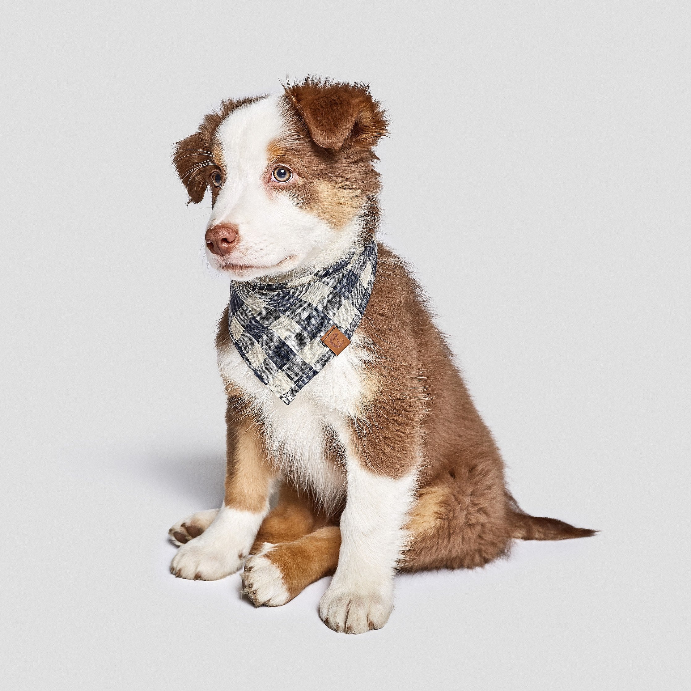 cloud7-hundehalstuch-bandana-check-dark-blue-beige image 5