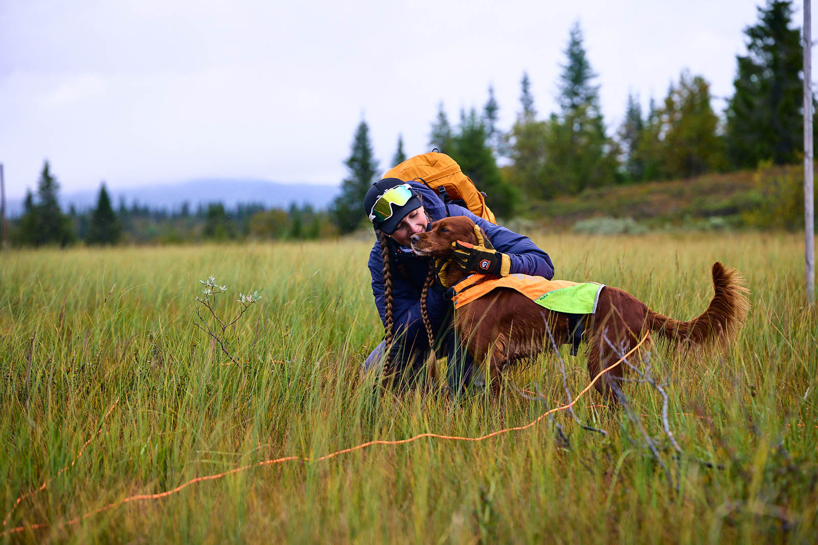 non-stop-dogwear-protector-round-long-line-runde-schleppleine image 4