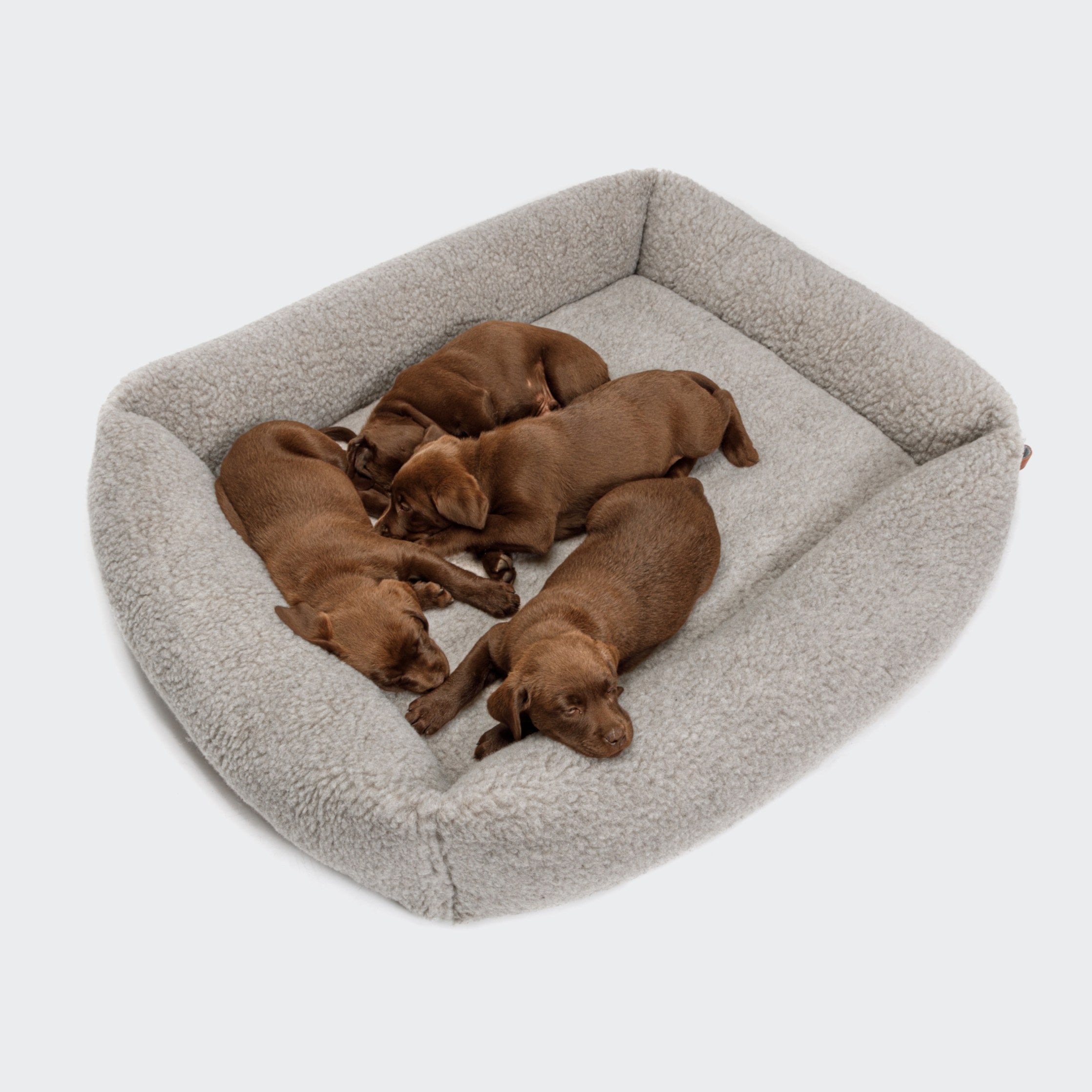 cloud7-hundebett-sleepy-deluxe-teddy-luxusbett image 7