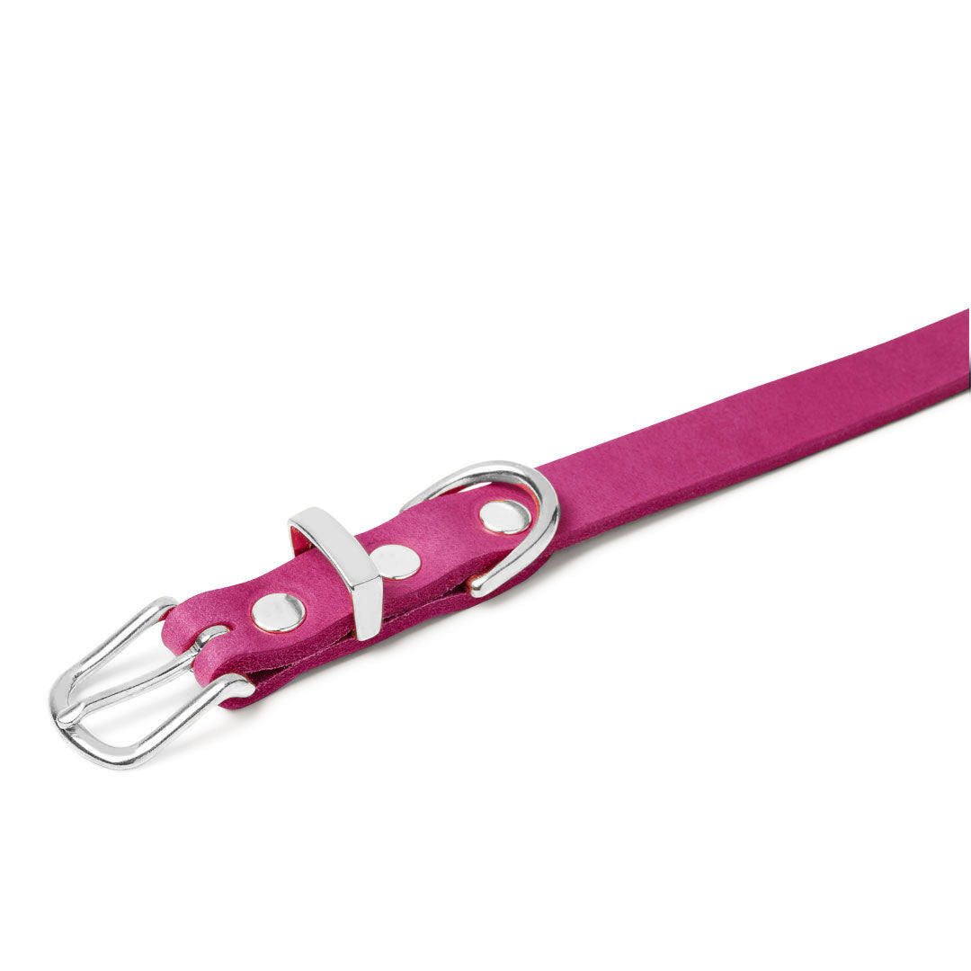 molly-and-stitch-butterleder-hundehalsband-flamingo image 5