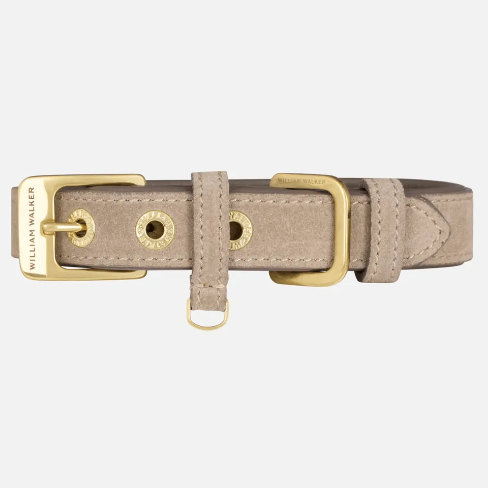 william-walker-luxe-wildleder-hundehalsband-pebble-taupe image 1