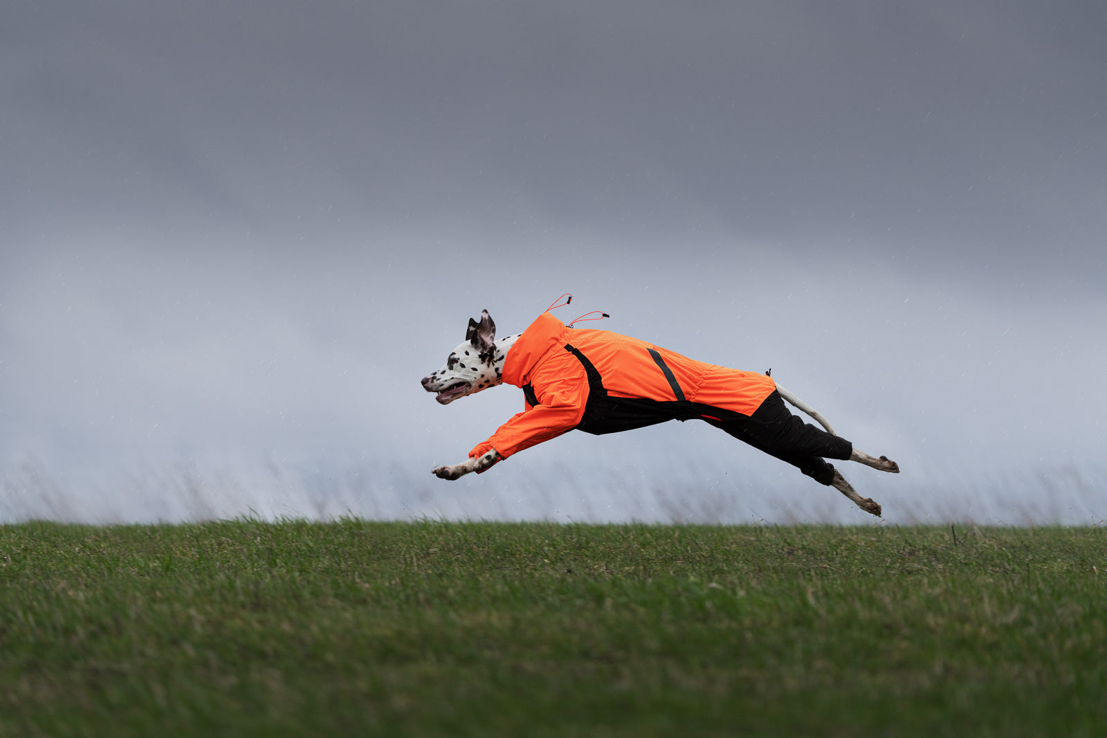 non-stop-dogwear-fjord-overall-raincoat-hunderegenmantel-overall image 3