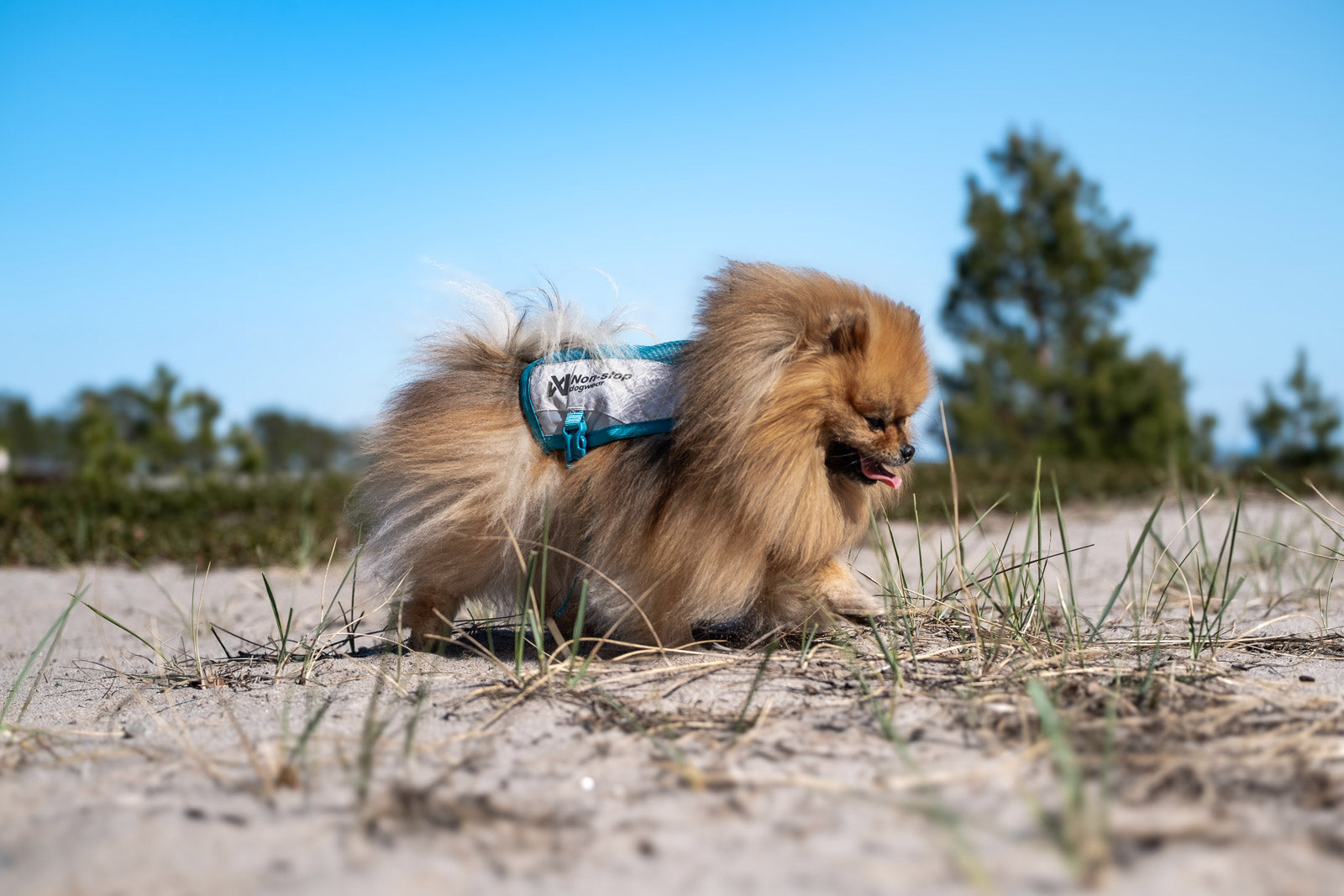 non-stop-dogwear-cooling-vest-k-hlweste-mit-3chill-tec image 5