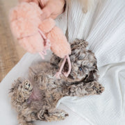 cloud7-dog-toy-lttl-shrimp-susi-pl-sch-garnele-16-x-9-cm image 4