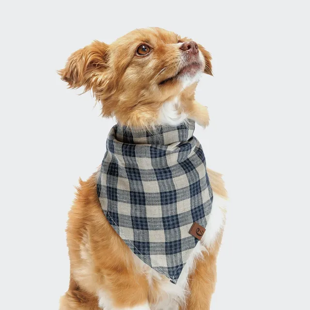 cloud7-hundehalstuch-bandana-check-dark-blue-beige image 1