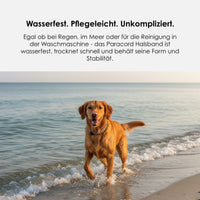 william-walker-paracord-biothane-hundehalsband-hanseatic image 6