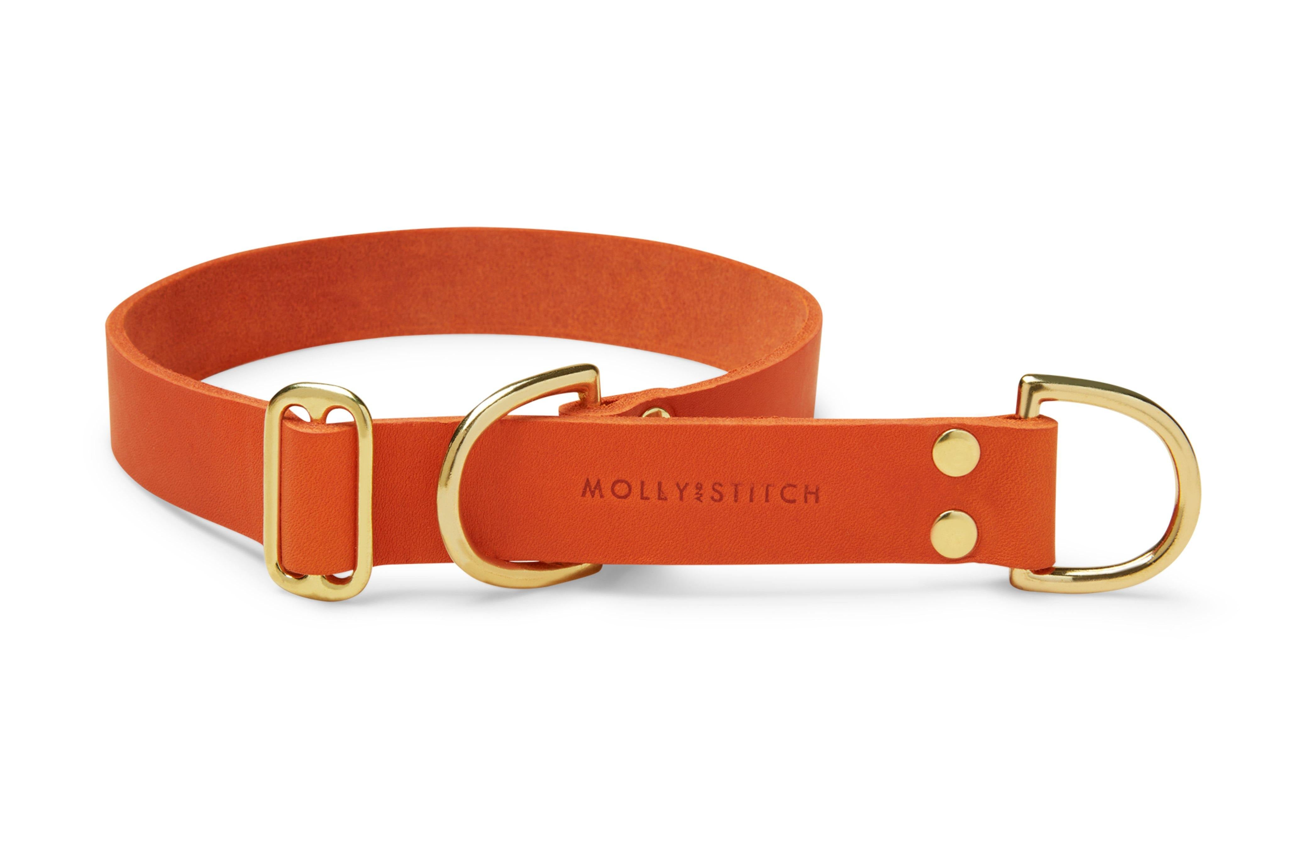 molly-and-stitch-butter-leather-retriever-halsband-mango image 1