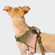 cloud7-v-3-westengeschirr-aktiv-knit-khaki-peach-2 image 4