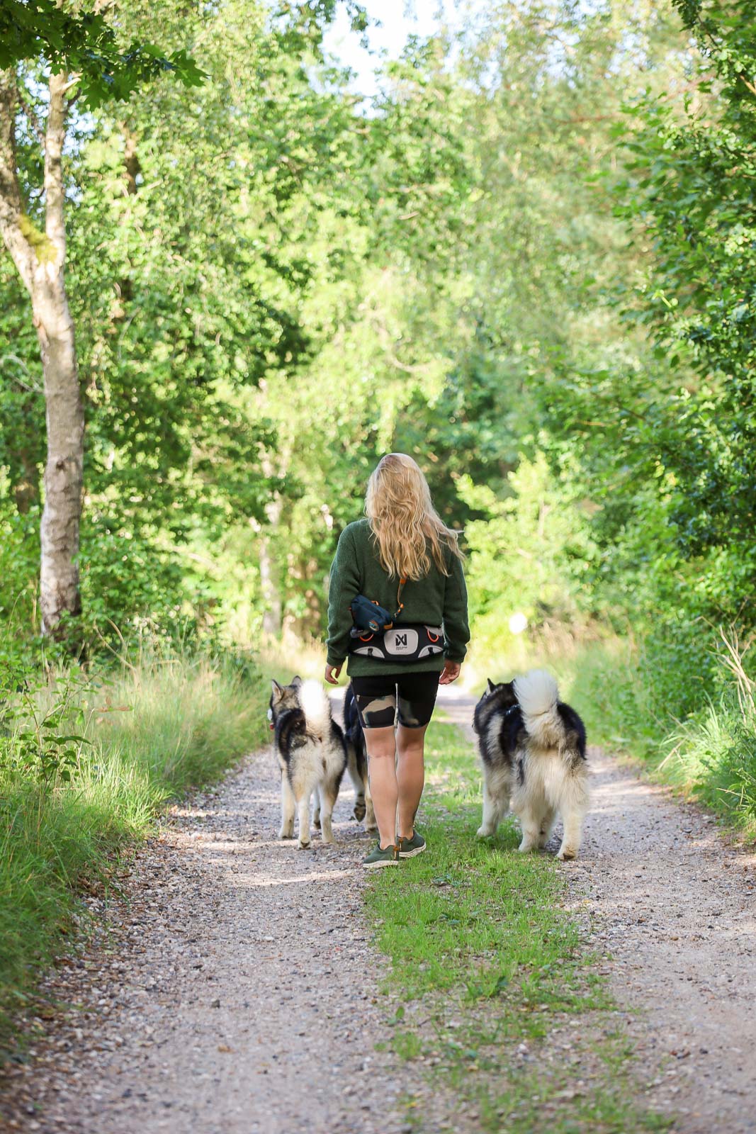 non-stop-dogwear-explore-belt-expedition-bauchgurt image 4