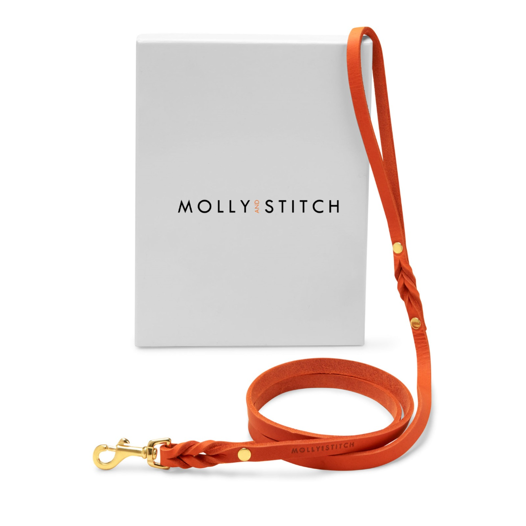 molly-and-stitch-butter-leather-city-hundeleine-140-cm-mango image 1