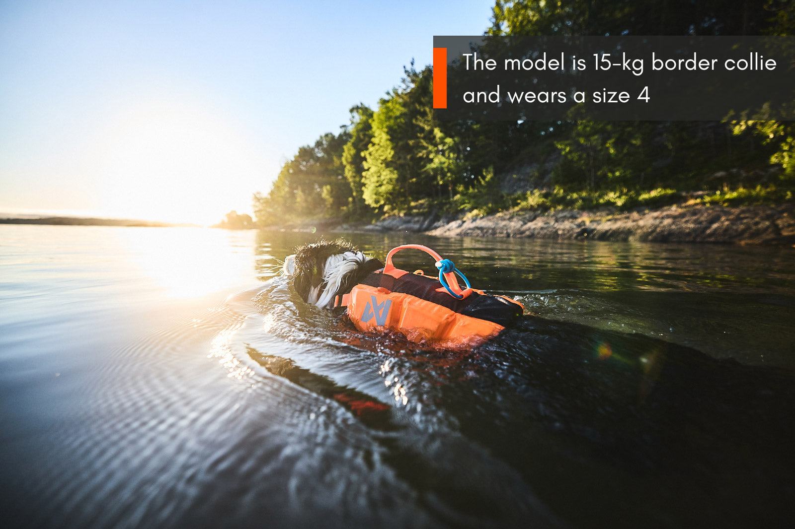 non-stop-dogwear-protector-life-jacket-hundeschwimmweste image 6