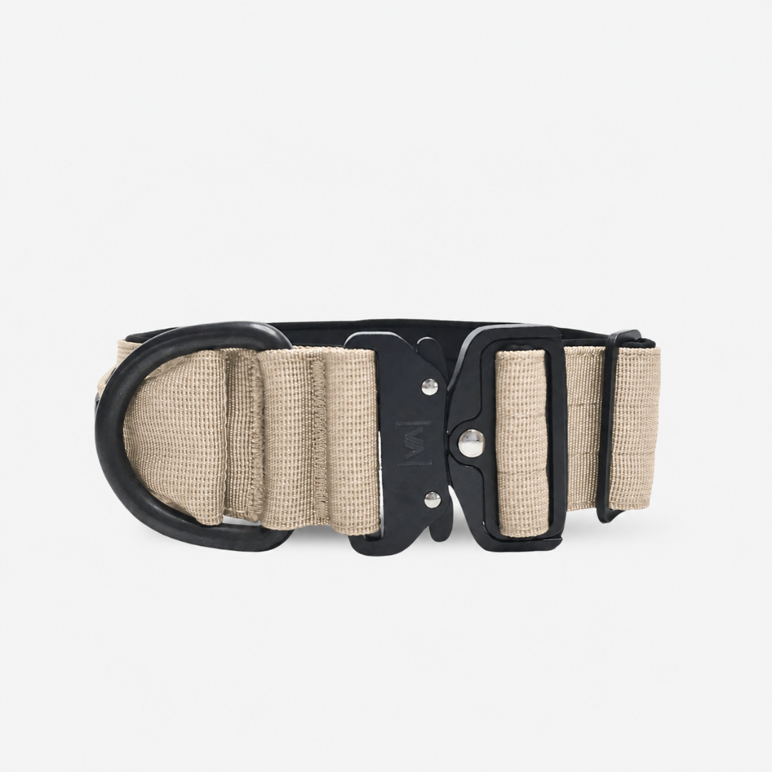 vitomalia-extreme-edition-robustes-hundehalsband-mit-sicherheitsverschluss-magne image 5