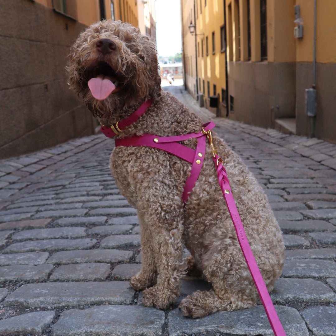 molly-and-stitch-butter-leder-hundegeschirr-flamingo image 2