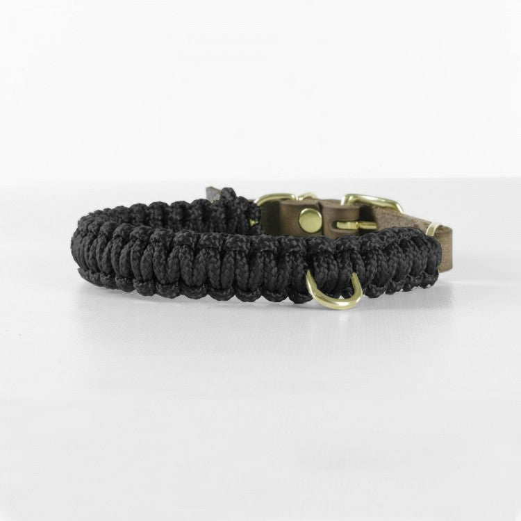 molly-and-stitch-touch-of-leather-hundehalsband-nero-schwarz image 2