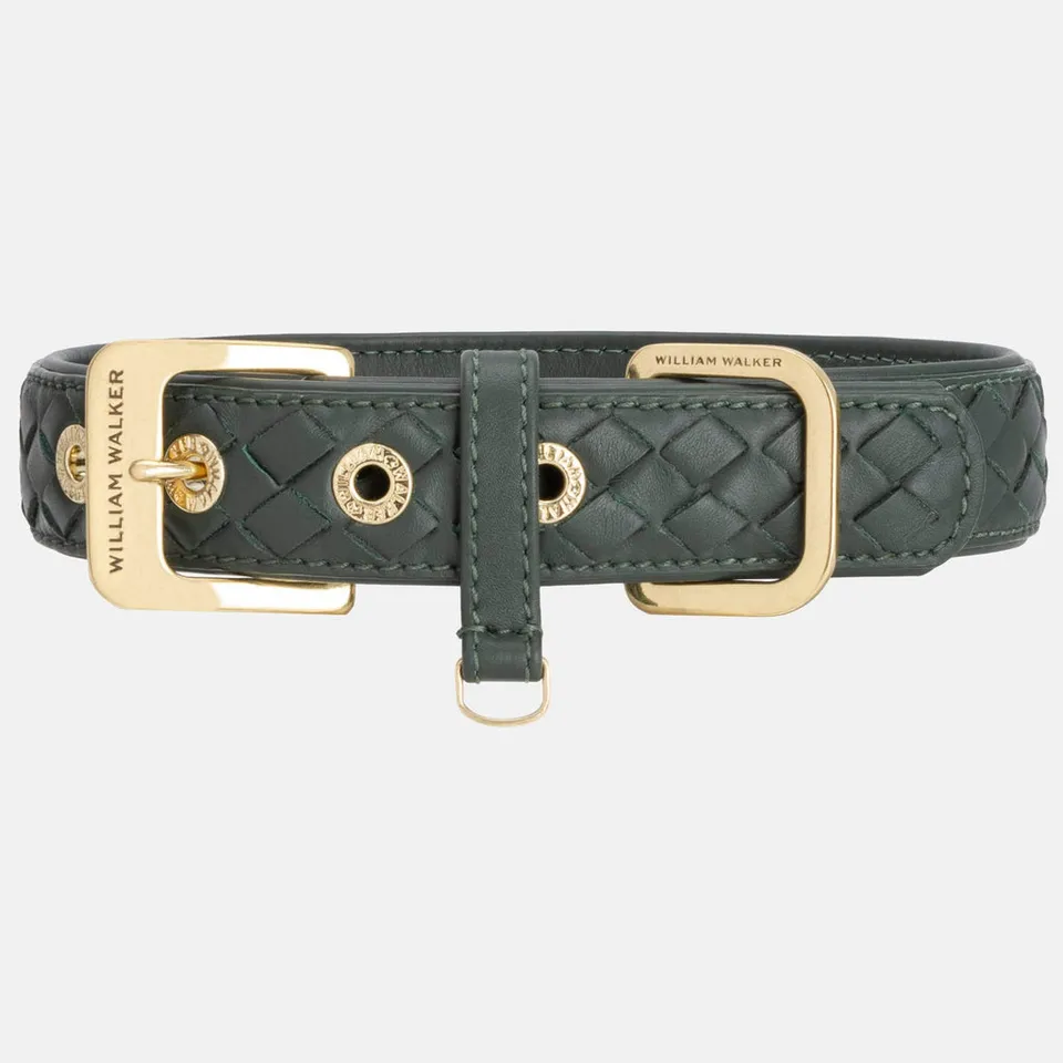 william-walker-leder-hundehalsband-prestige-forest-dunkelgr-n-geflochten image 1