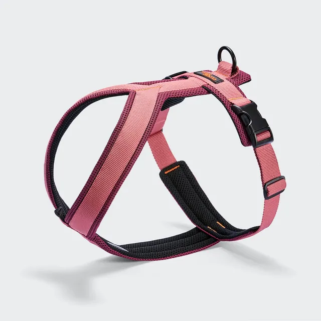 cloud7-y-1-geschirr-aktiv-air-mesh-aubergine-soft-rose-hundegeschirr image 1
