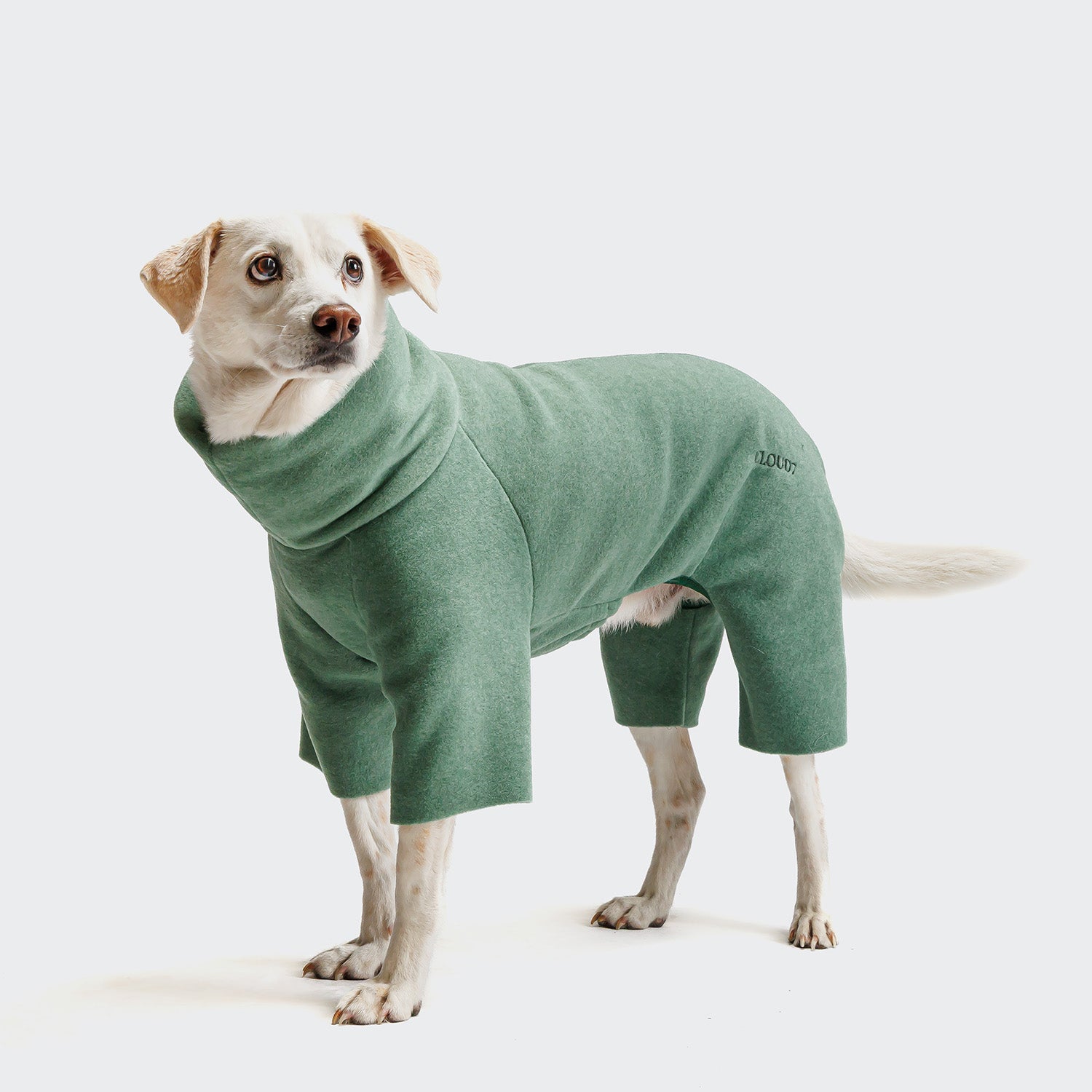 cloud7-cornwall-fleece-hundepullover-dusty-green image 4