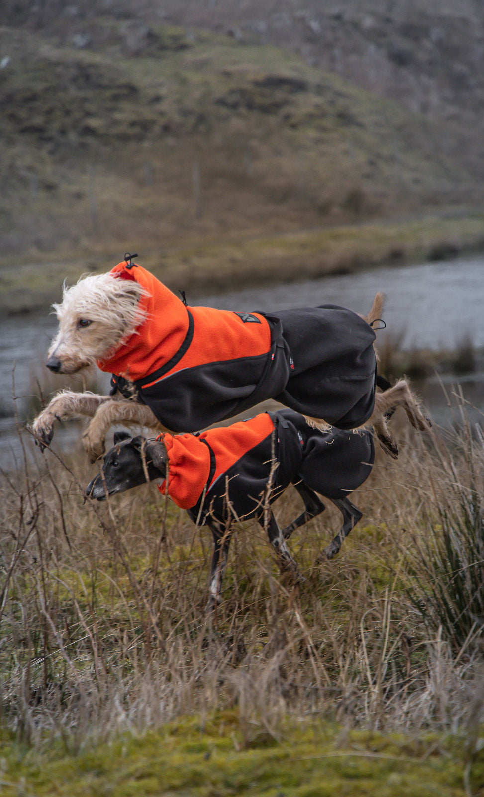 non-stop-dogwear-phoenix-dog-jacket-polartec-fleece-funktionsjacke image 5