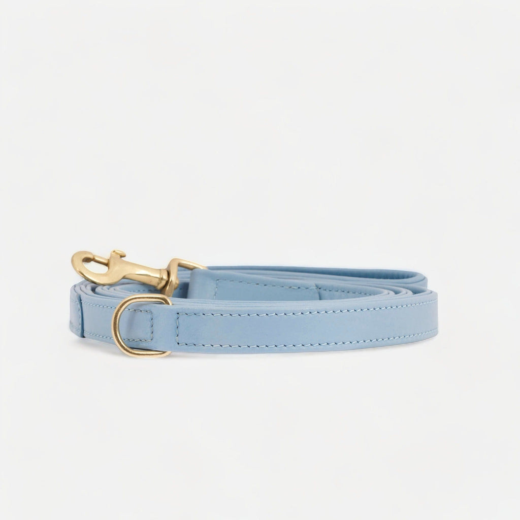william-walker-sky-leder-hundeleine-hellblau-mit-messing image 1