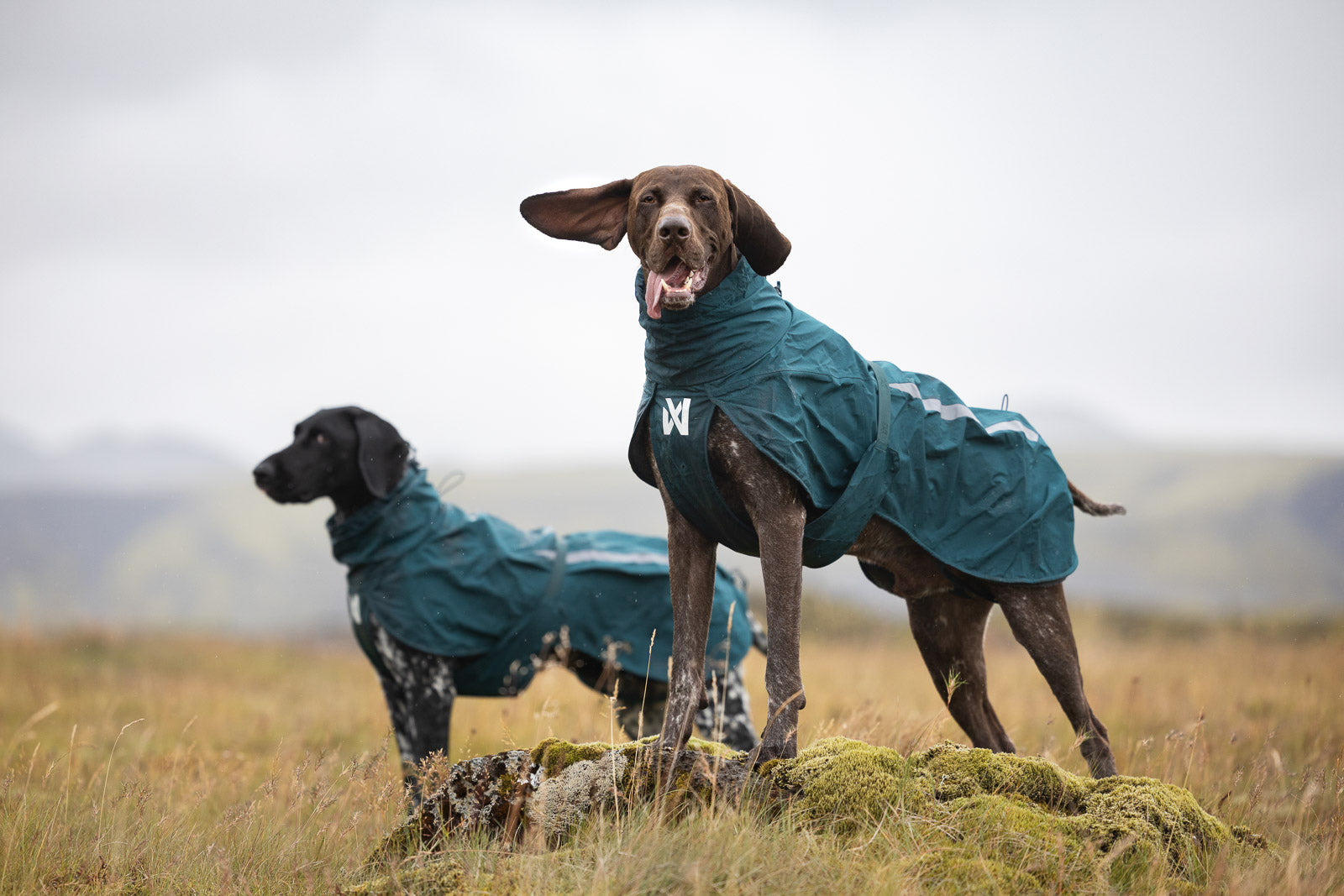 non-stop-dogwear-fjord-lined-raincoat-gef-tterter-hunderegenmantel image 2