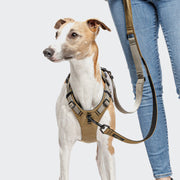 cloud7-y-safe-sicherheitsgeschirr-aktiv-khaki-grey image 5