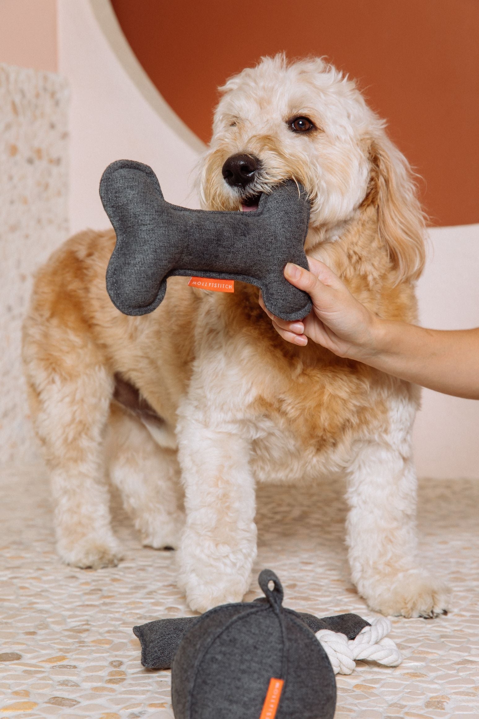 molly-and-stitch-alpine-knochen-hundespielzeug-grey image 4
