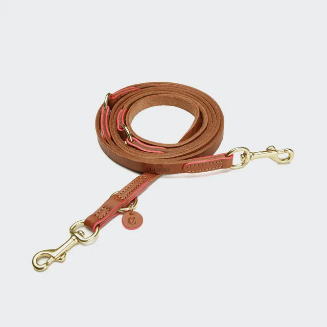 cloud7-prince-park-hundeleine-leder-cognac-pink image 1