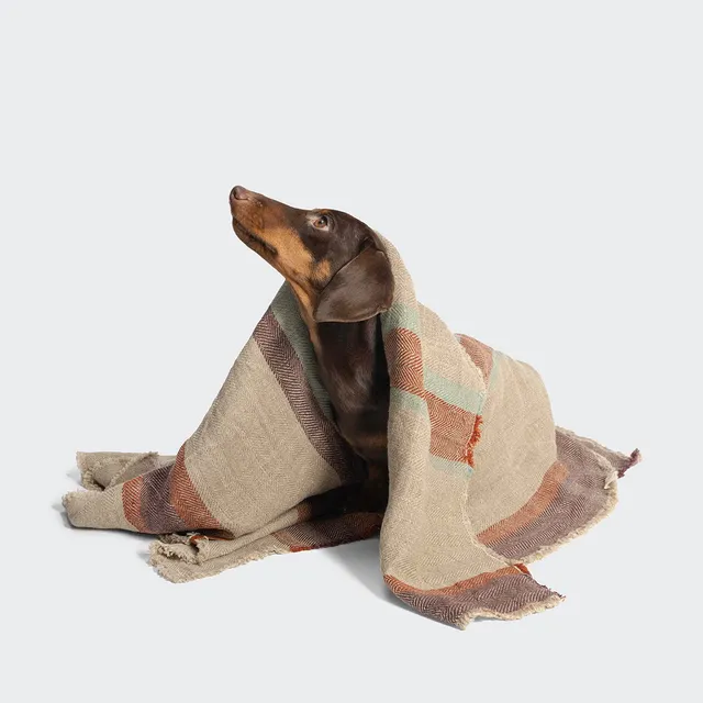 cloud7-hundedecke-linen-stripes-leinen image 1